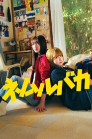ネムルバカ Online En Netflix