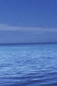 僕の失楽園 Online En Netflix