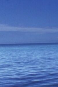 僕の失楽園 Online En Netflix