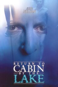 Return to Cabin by the Lake Online En Netflix