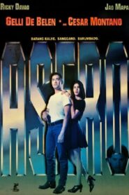 Asero Online En Netflix