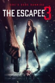 The Escapee 3: The Final Escape Online En Netflix