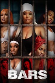 Bars Online En Netflix
