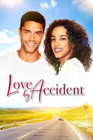 Love by Accident Online En Netflix