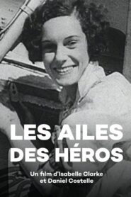 Les Ailes des héros Online En Netflix