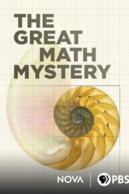 NOVA: The Great Math Mystery Online En Netflix