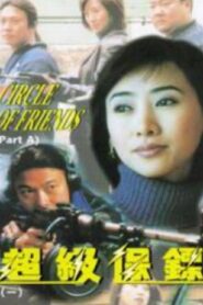 超级保镖 Online En Netflix