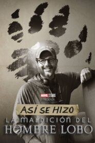 Director por la noche Online En Netflix