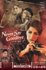 Never Say Goodbye Online En Netflix