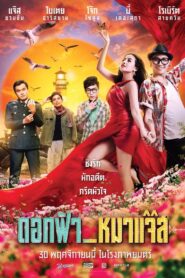 ดอกฟ้า_หมาแจ๊ส Online En Netflix