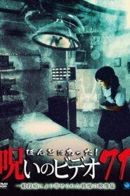 ほんとにあった！呪いのビデオ71 Online En Netflix