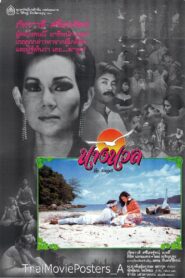 นางนวล Online En Netflix