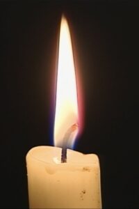 Licht-Adern Online En Netflix