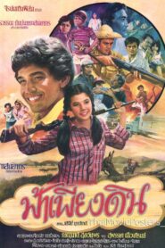 ฟ้าเพียงดิน Online En Netflix