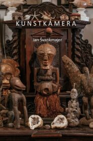 Kunstkamera Online En Netflix