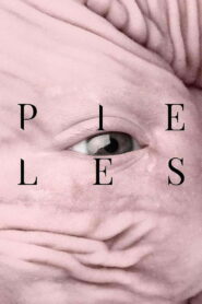 Pieles Online En Netflix