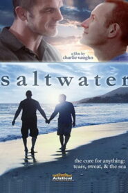 Saltwater Online En Netflix