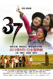 37 Online En Netflix