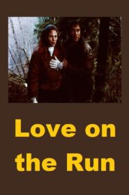 Love on the Run Online En Netflix