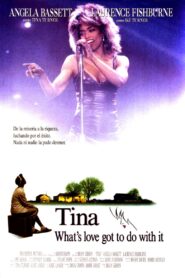 Tina Online En Netflix