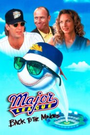Ligas Mayores 3 Online En Netflix