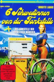 Sechs Schwedinnen von der Tankstelle Online En Netflix
