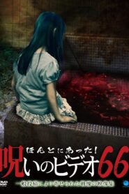 ほんとにあった！呪いのビデオ66 Online En Netflix