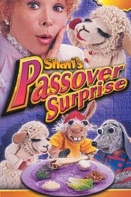 Shari’s Passover Surprise Online En Netflix