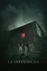 La Influencia Online En Netflix