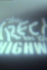 The Wreck on the Highway Online En Netflix