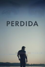 Perdida Online En Netflix