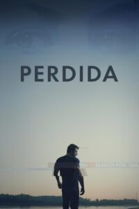 Perdida Online En Netflix