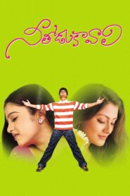 నీతోడు కావాలి Online En Netflix