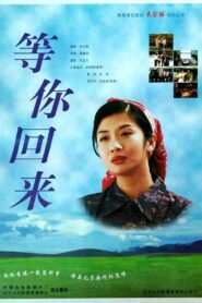 等你回来 Online En Netflix