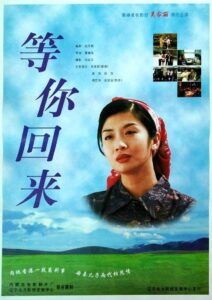 等你回来 Online En Netflix