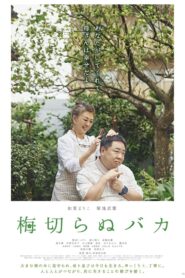 梅切らぬバカ Online En Netflix