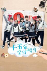 十五年等待候鸟 2016 En Netflix