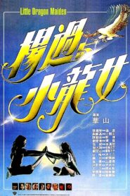 楊過與小龍女 Online En Netflix