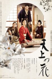 天上の花 Online En Netflix
