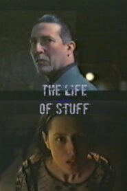 The Life of Stuff Online En Netflix