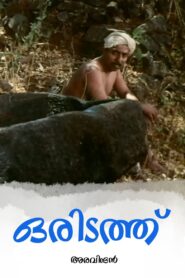ഒരിടത്ത് Online En Netflix