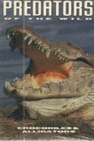 Predators of the Wild: Crocodiles and Alligators Online En Netflix