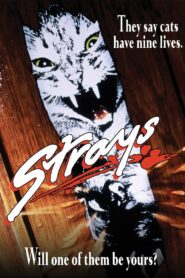 Strays Online En Netflix