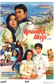 นานแค่ไหนก็ยังรัก Online En Netflix