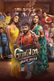 गोविंदा नाम मेरा Online En Netflix