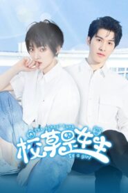 校草是女生 2023 En Netflix