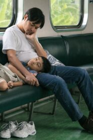 小洋 Online En Netflix