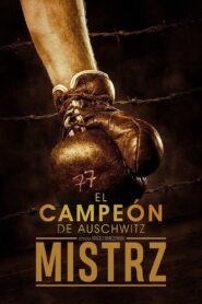 Mistrz Online En Netflix