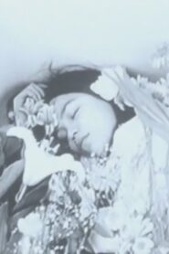 静かな一日 Online En Netflix