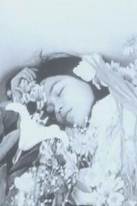 静かな一日 Online En Netflix